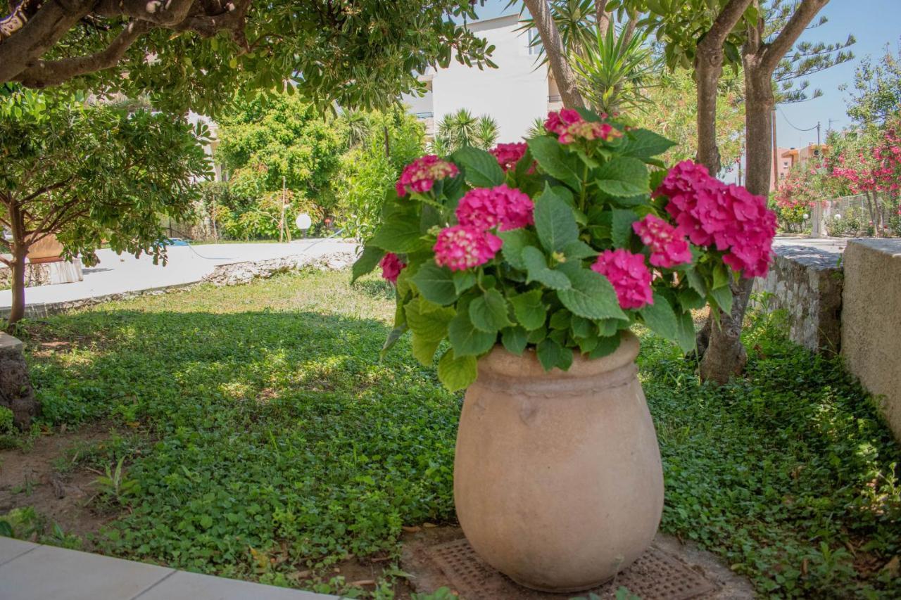 Evdokia Αpartments & Dimitra Village Agia Marina Eksteriør billede