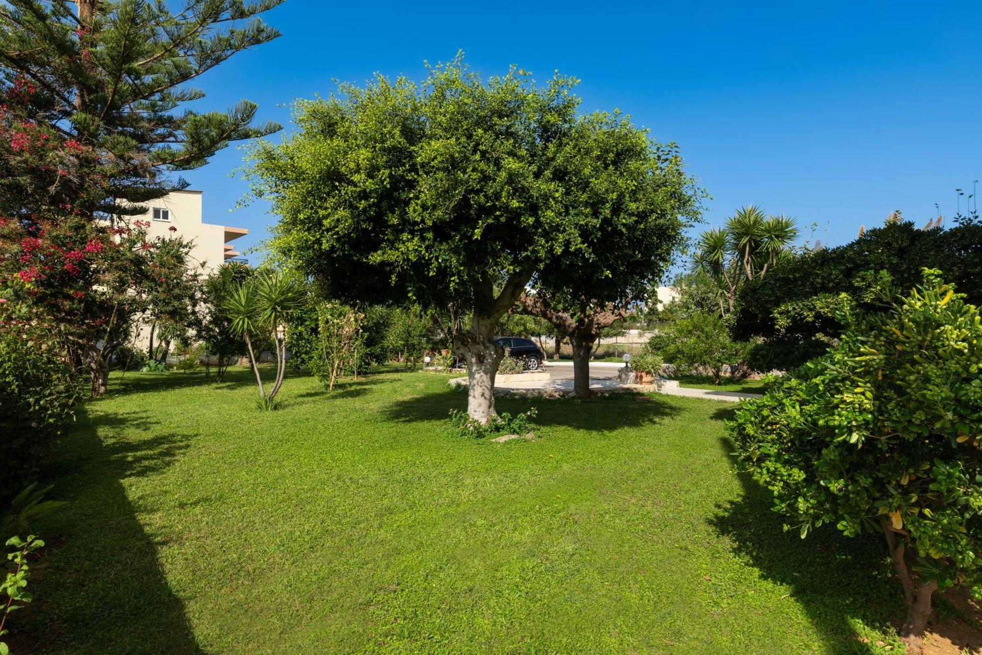 Evdokia Αpartments & Dimitra Village Agia Marina Eksteriør billede